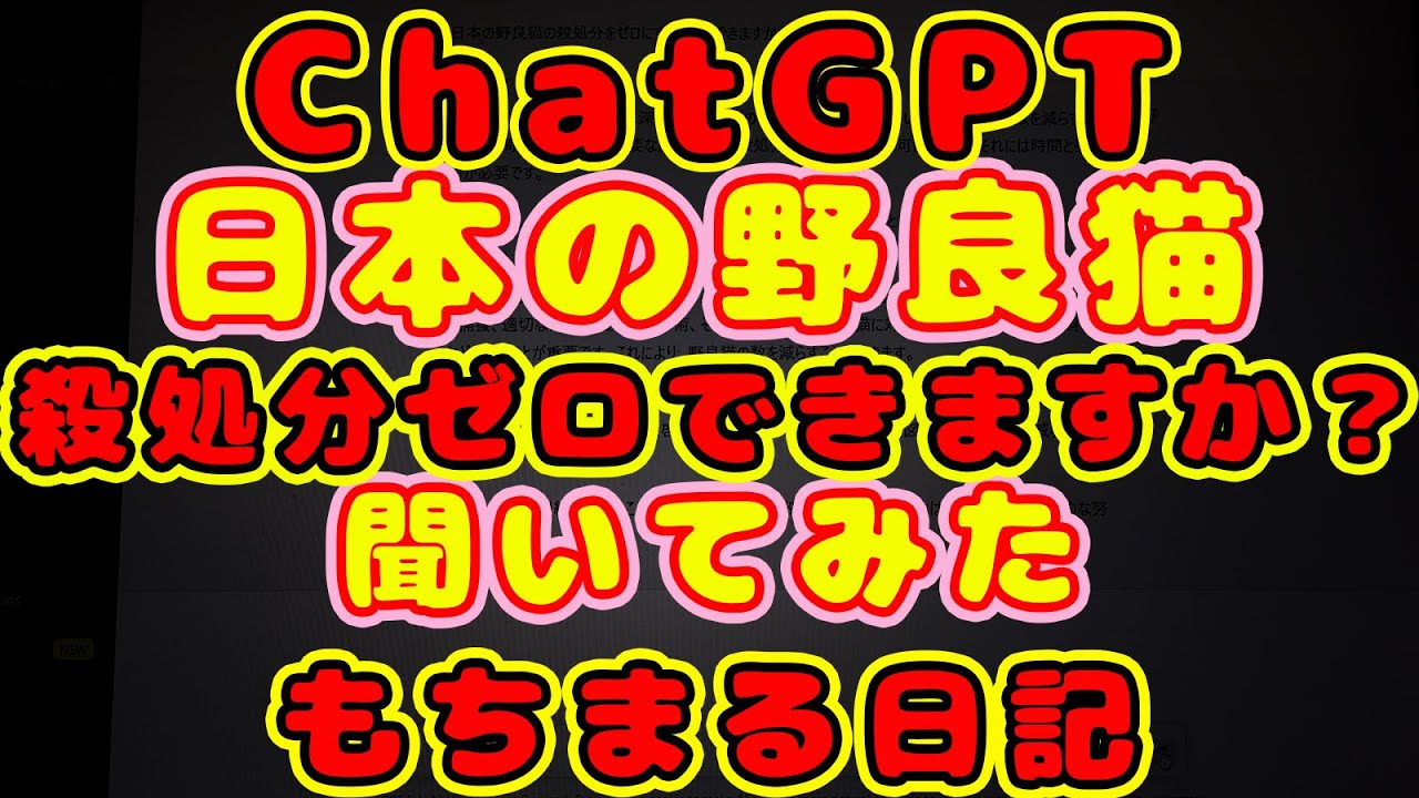 【ChatGPT】日本の野良猫の殺処分をゼロにすることはできますか？ChatGPTに質問してみた【野良猫殺処分】【もちまる日記】