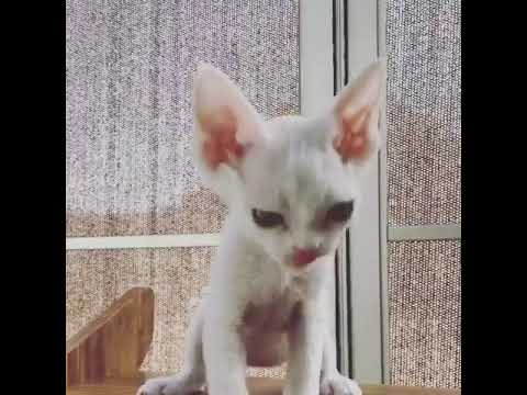 おちびちゃん💕