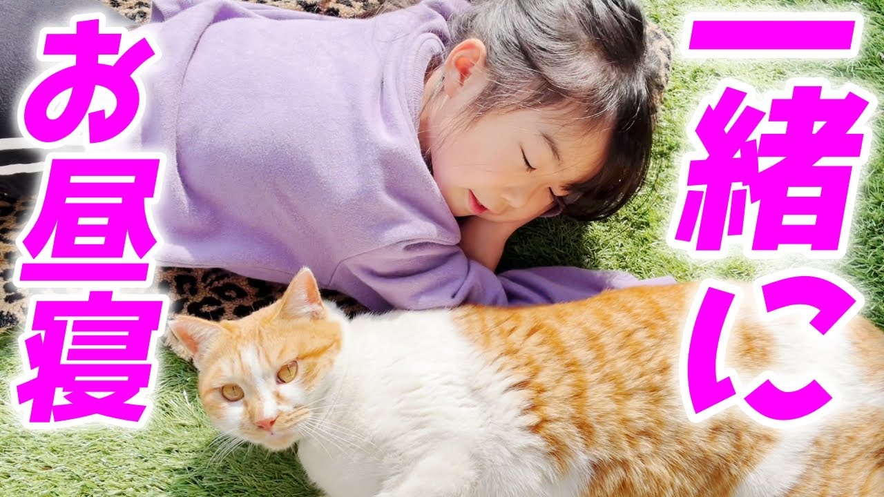 外で昼寝していた庭子猫と違和感なく一緒にお昼寝する娘が凄すぎた…笑[三毛母猫の子猫とジョア]