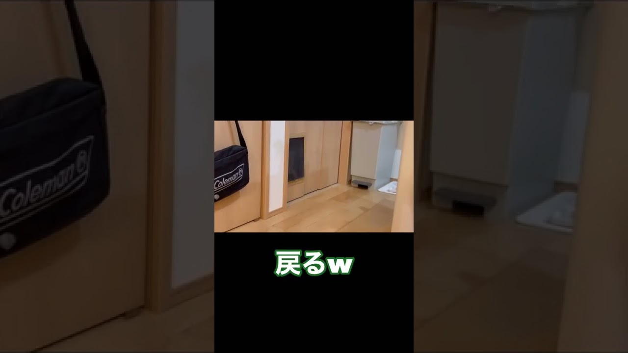 ソマリのマリちゃん。ご飯の声にはテンション高めにお返事