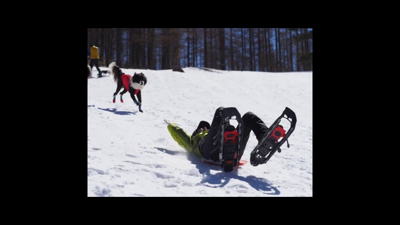 ワンコと八ヶ岳入笠山スノーシュー
