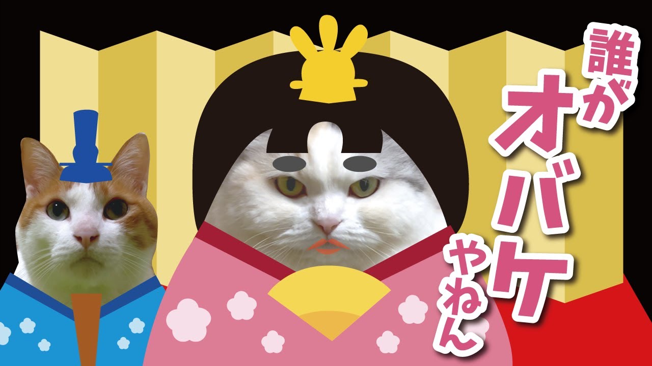 猫達による面白すぎるひな祭りがこちら【関西弁でしゃべる猫】