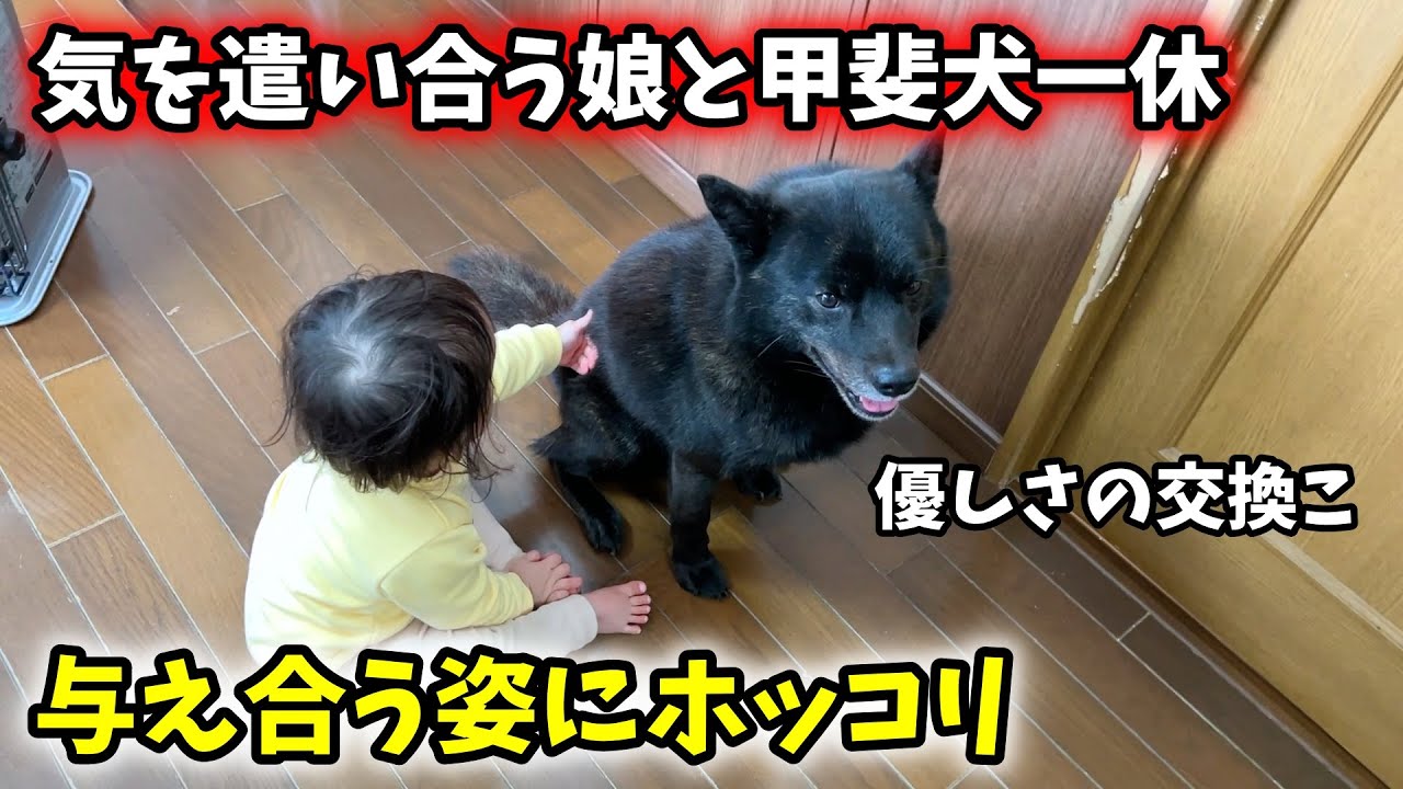 【相思相愛】娘と愛犬が互いに気を遣い合っててホッコリしました