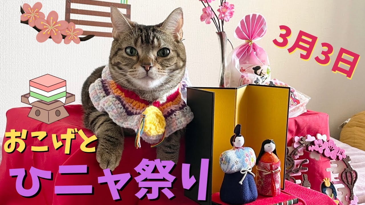 3月3日は『ひニャ祭り』だニャ！Celebrating Doll's (Girls') Day on March 3 with Okoge!