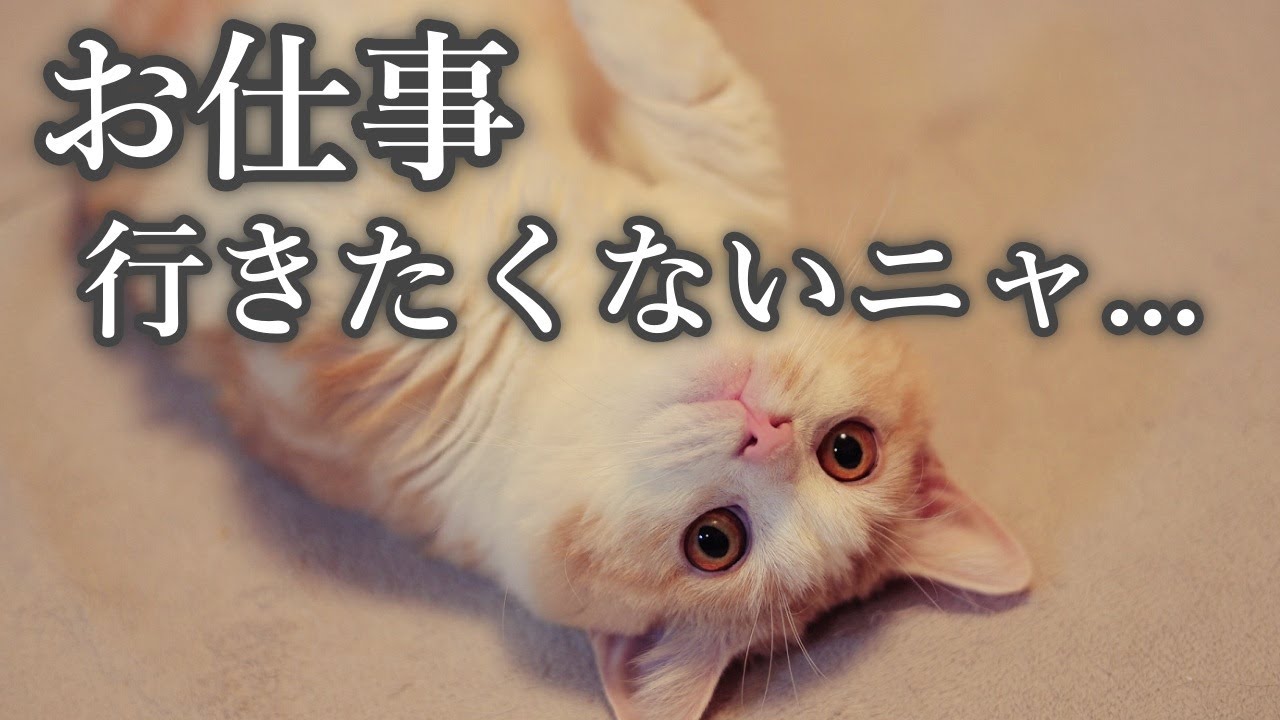 ぼくには毎日欠かせない重要な任務があるんだよ～...