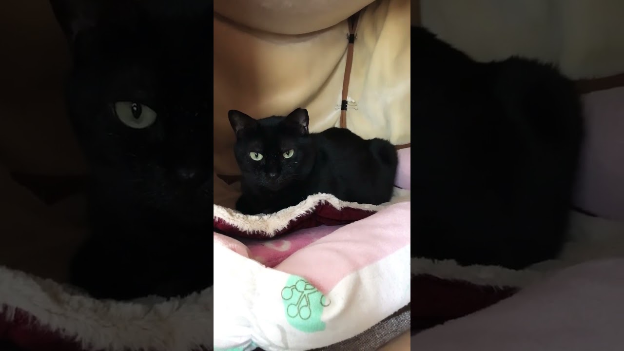 朝食終えて一休み中です