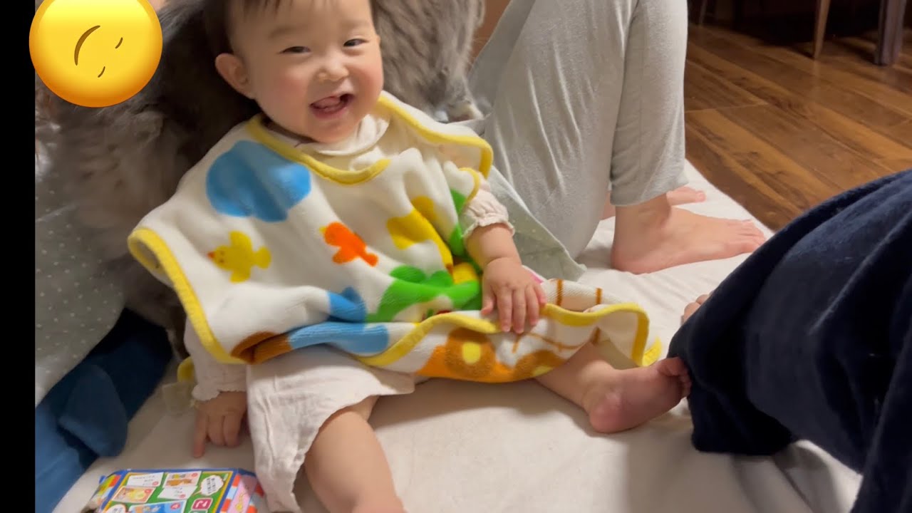赤ちゃんから背もたれ扱いされる猫　ノルウェージャンフォレストキャット　A cat used as a backrest by a baby