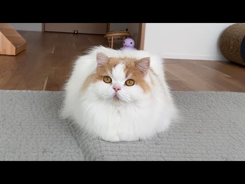 2年ぶりに嬉しいお知らせがあります！