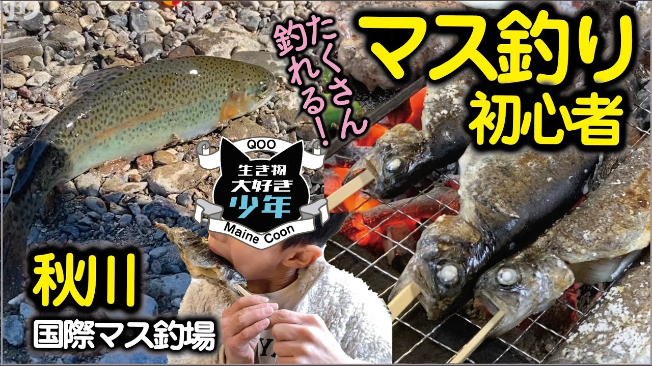 【マス釣り】初心者でもたくさん釣れる♪秋川国際マス釣り場