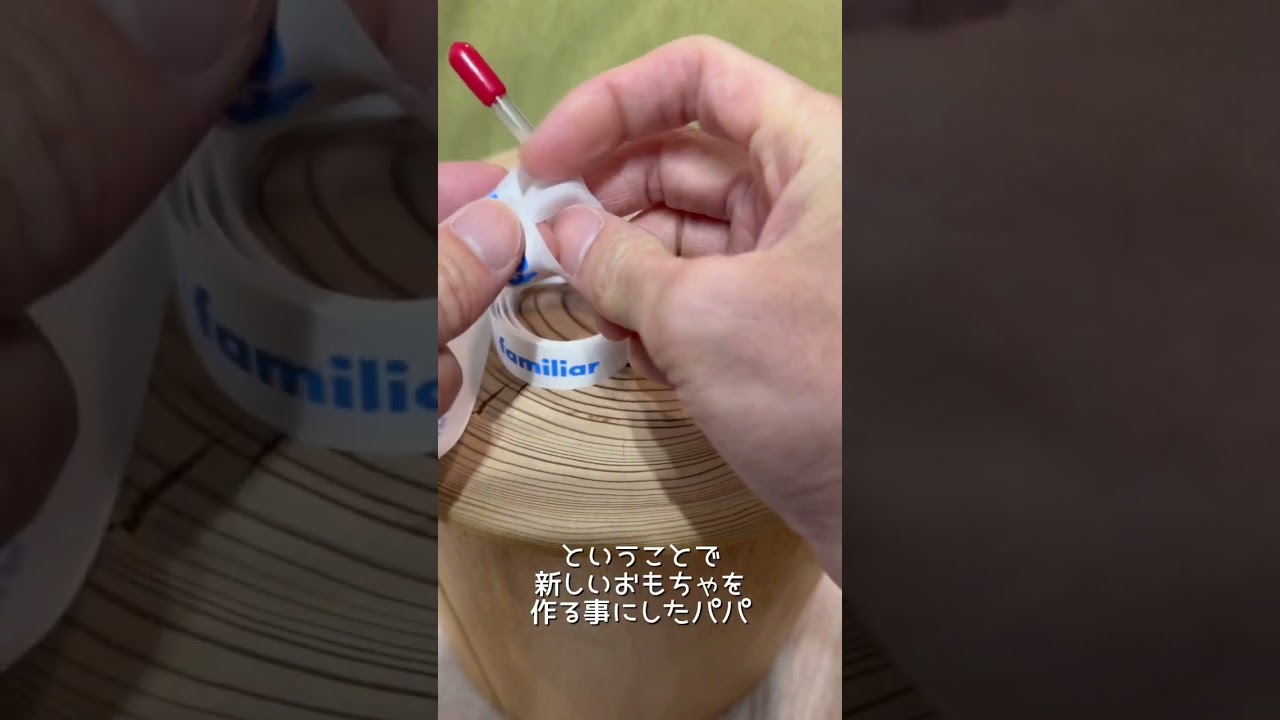 甘えた猫に手作りおもちゃを与えてみると