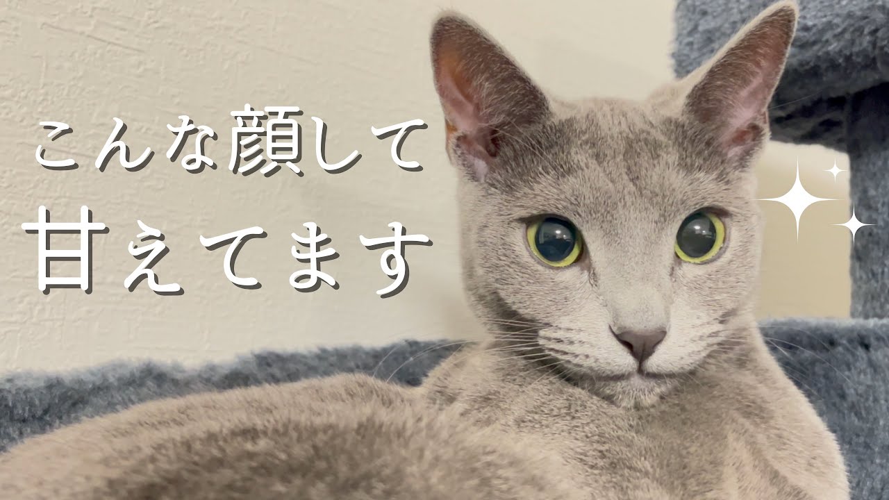 眠くなると甘えちゃうんです...