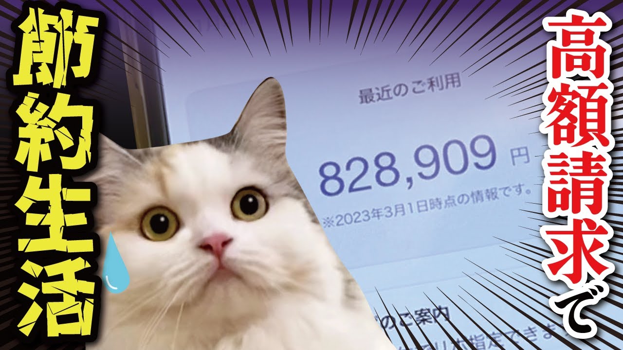 見た事ない金額を請求されて節約生活をしないといけなくなりました…【関西弁でしゃべる猫】