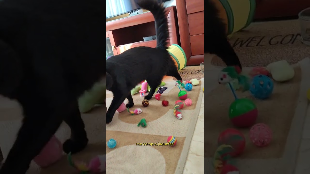 Lo que no me gusta de Karen.