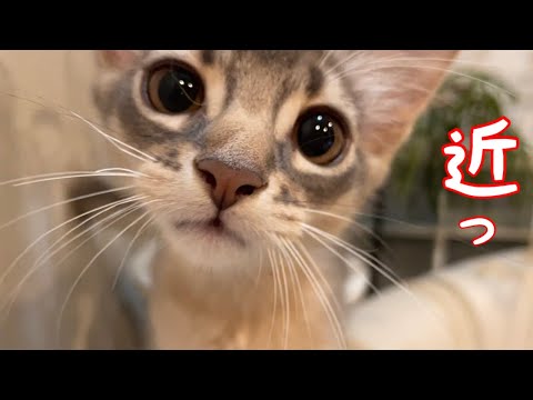 僕…カメラ見ると近寄りたくなっちゃうんだ❣️【ソマリ】