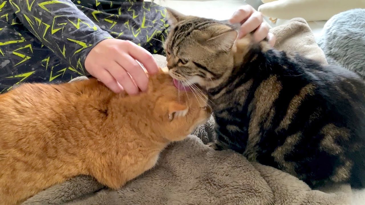 右手にプリを左手にメルを