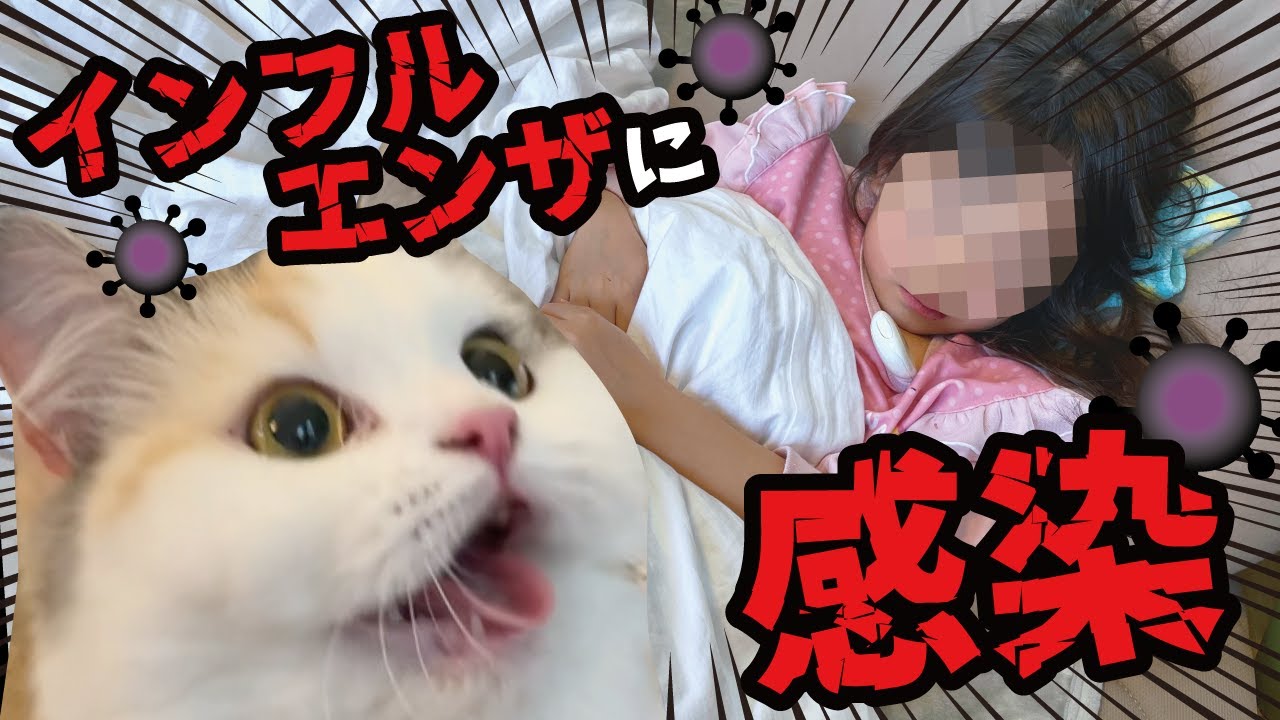 引っ越しで大変な時期に5歳の娘がインフルエンザにかかってしまいました…【関西弁でしゃべる猫】