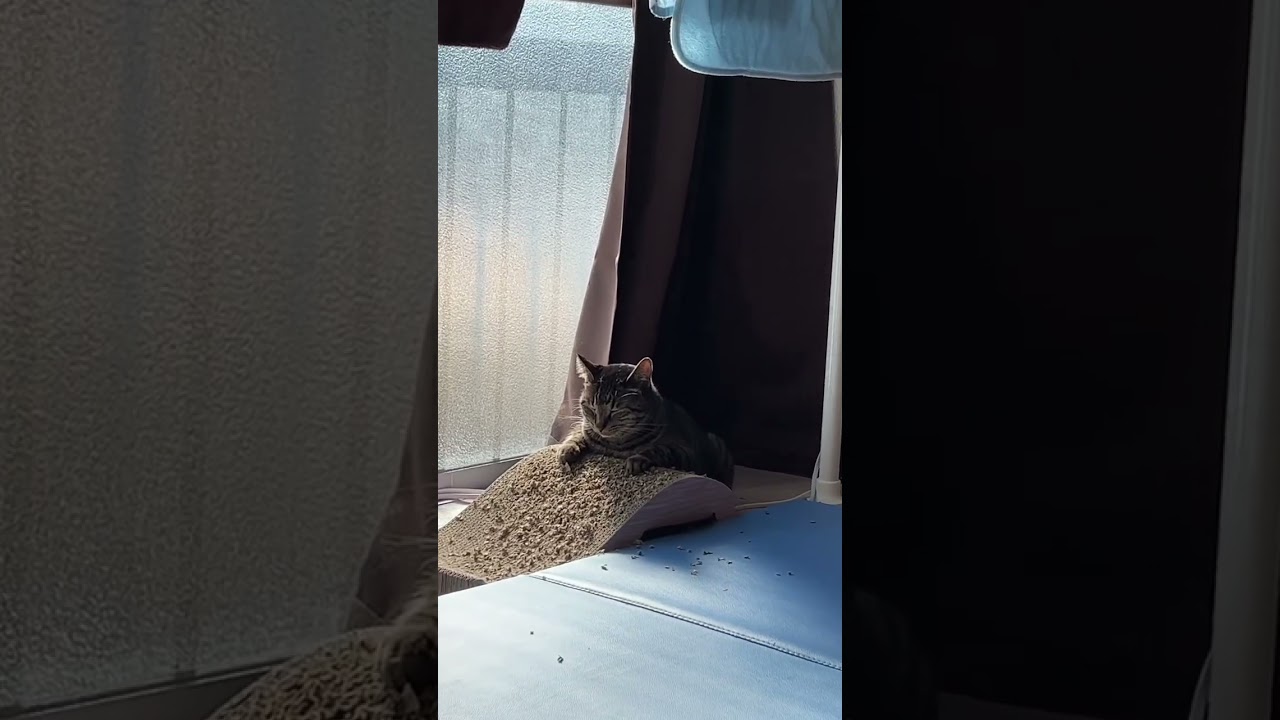 まどろみスフィンクス