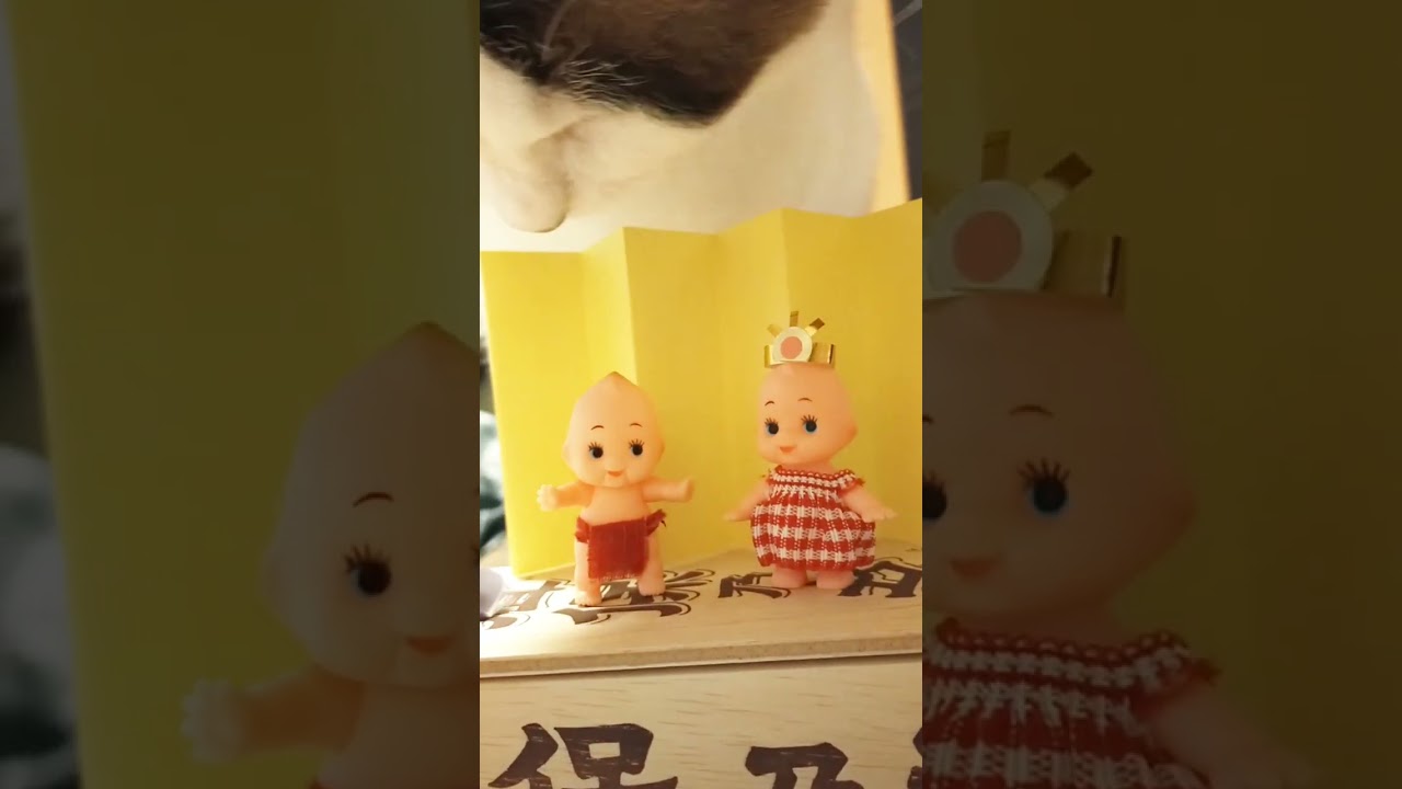 ひな祭りｷｭｰﾋﾟｰｽﾞと容赦ない猫🎎🐈  #キューピー #猫 #シャム猫 #shorts