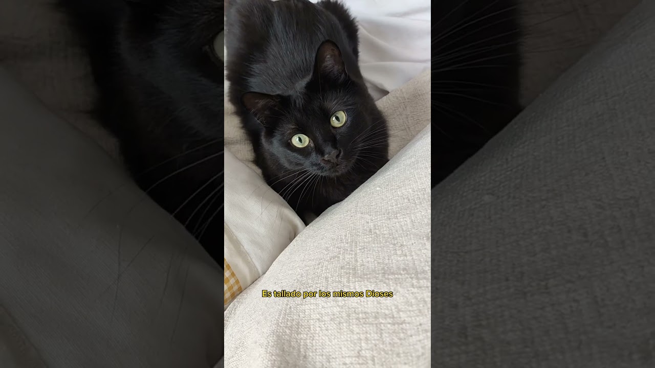 Tallado por los mismos Dioses