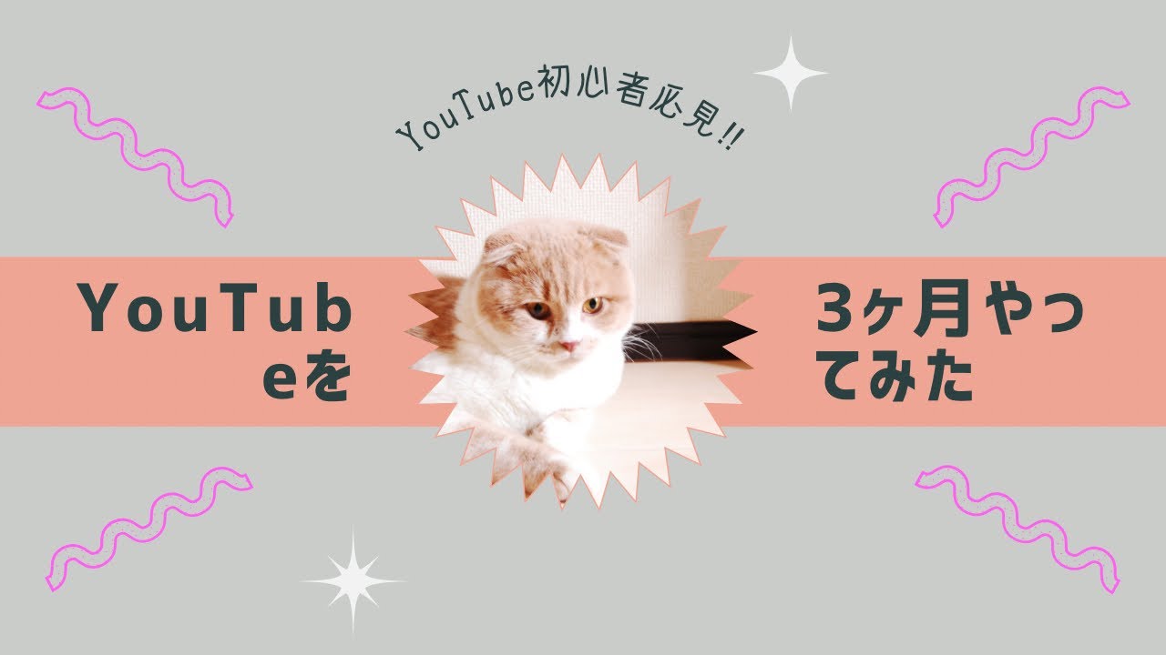 [スコティッシュフォールド]YouTubeを3ヶ月やってみた