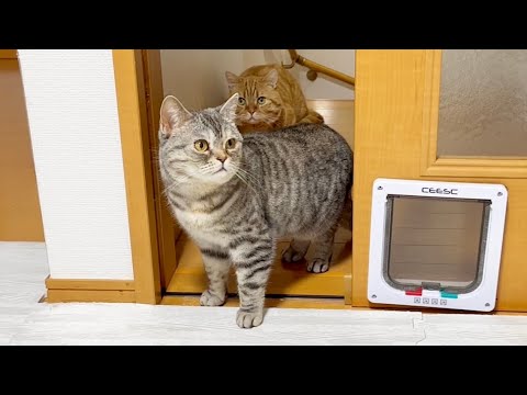 妻がいるので通れないぼくとやんちゃな息子。