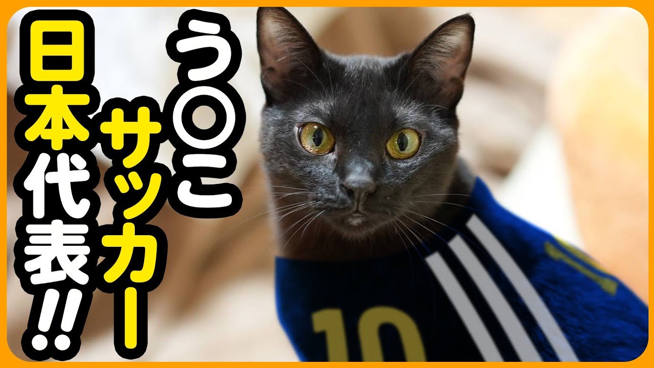 【う〇こサッカー】犯人が確定しました
