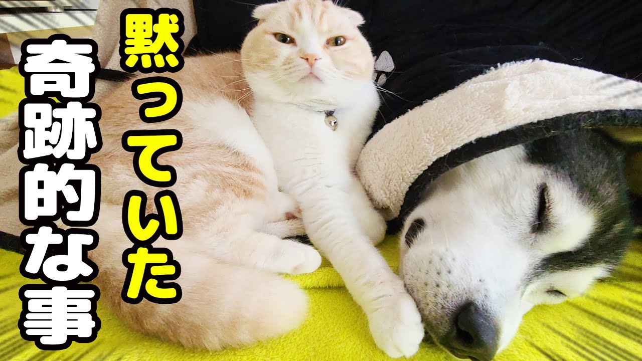 背筋がゾッとした危険な事がありました...