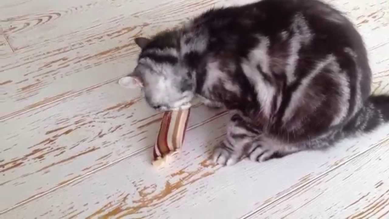おしゃれなモダンファブリックを使った猫のおもちゃ、けりぐるみ「モダンキッカー」