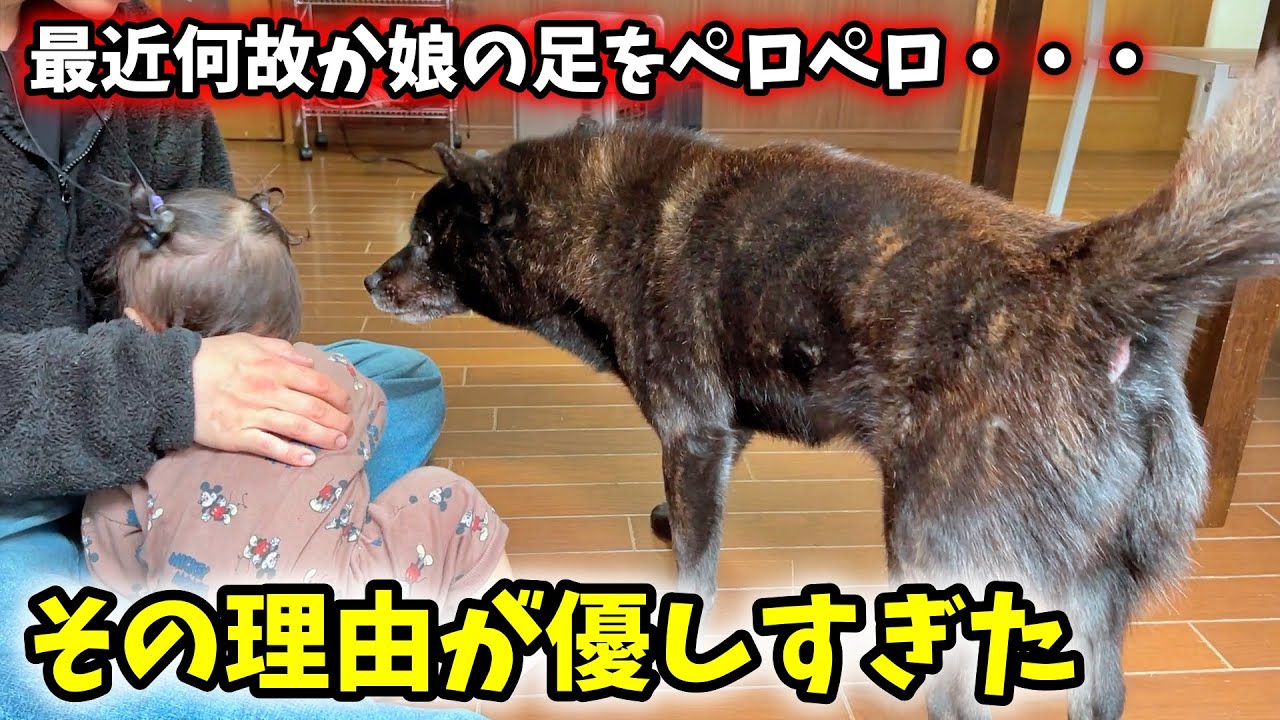 愛犬が娘の足をペロペロするようになった理由が優しさに溢れてる