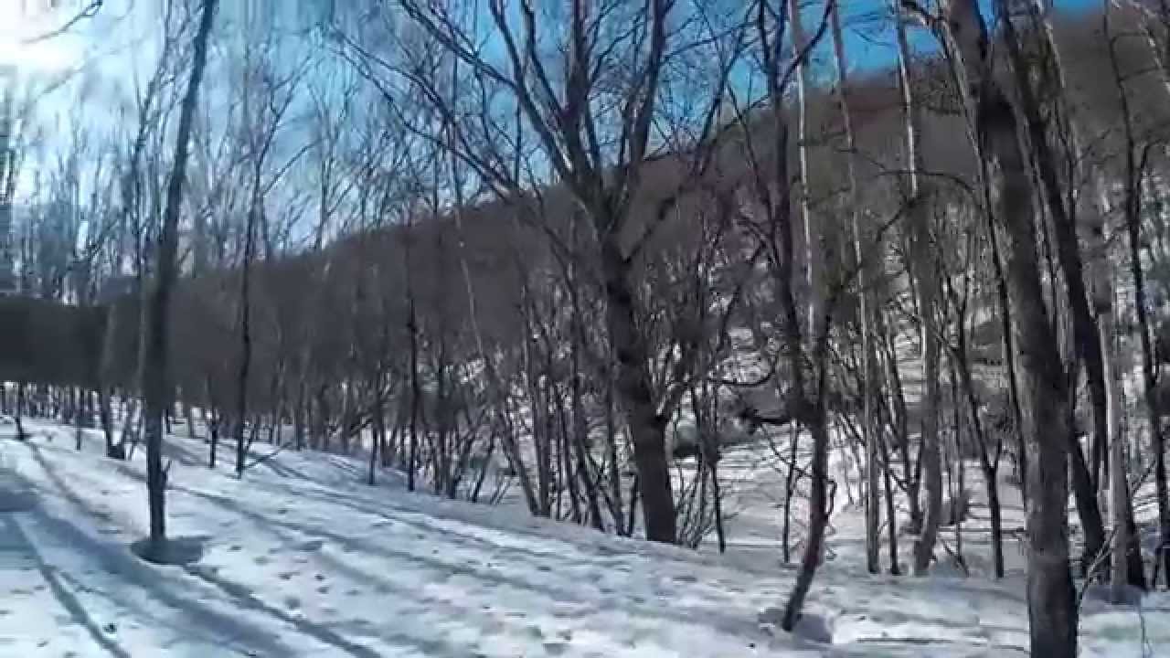 スノーシューで白樺苑路に行ってみた　奥志賀高原