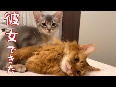 【癒し閲覧注意】はじめて彼女ができました❣️【ソマリ】