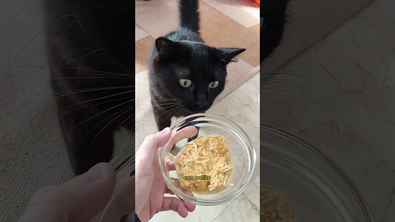 Mañana será bonito Karen