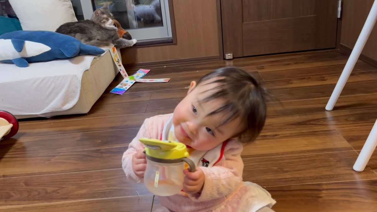 美味しそうに薬を飲む赤ちゃんを背後で見つめる猫　ノルウェージャンフォレストキャット　A cat peeking behind a baby who takes medicine deliciously