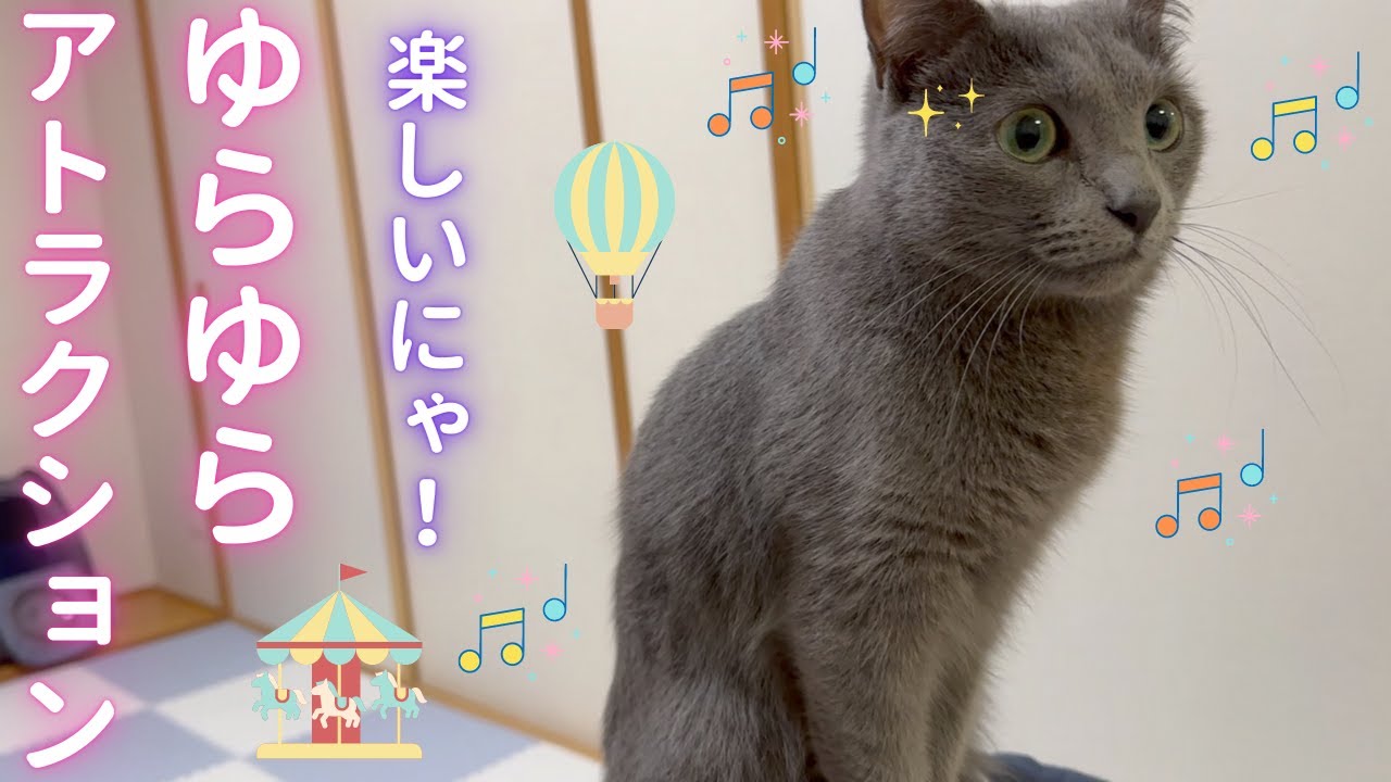 そら様専用の お乗り物（ロシアンブルー）