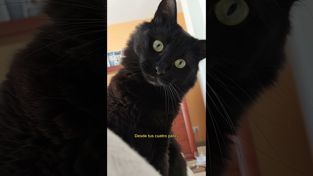 Ojalá fuera para siempre