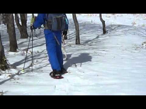 犬小雪2013スノーシュー