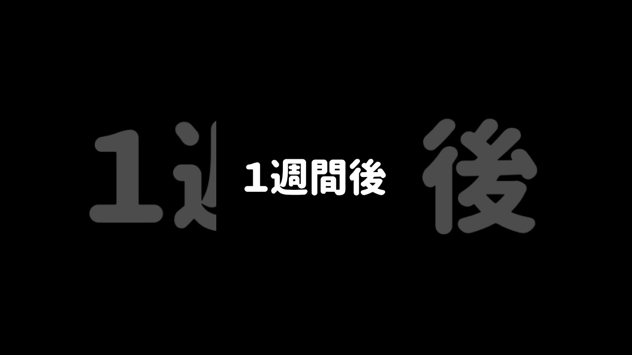 道ばたでダンボールに捨てられていた子猫の末路