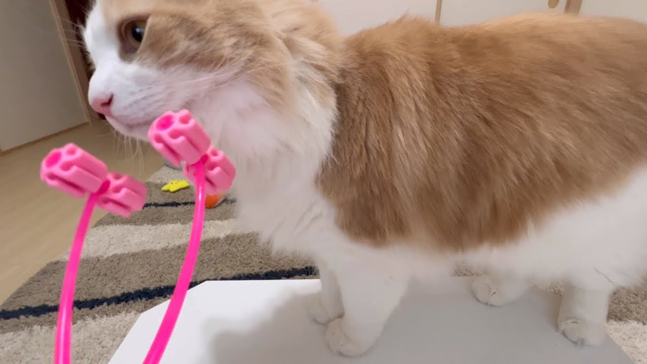 【SHEIN】マッサージ器も買ってみたww購入品紹介最終回♪