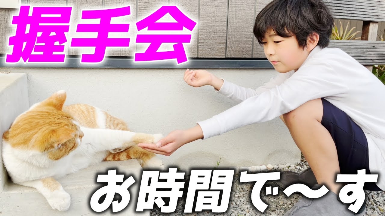 可愛すぎる庭子猫の握手会に小学生の息子が参加してきました…♡[三毛母猫の子猫]
