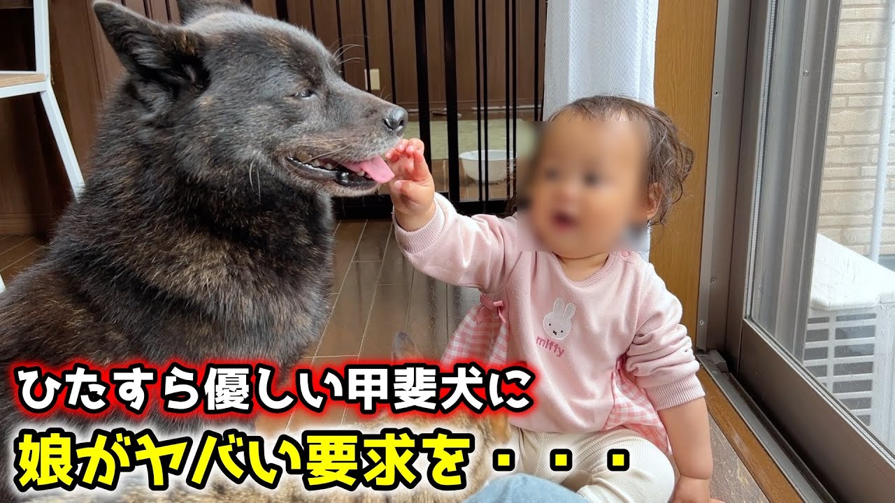 娘のヤバい要求で愛犬がこうなってしまいました【悟りを開いた犬】