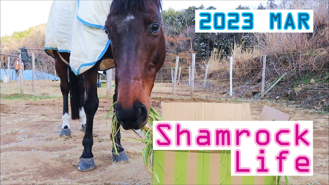 種をまく人/3月のVlog