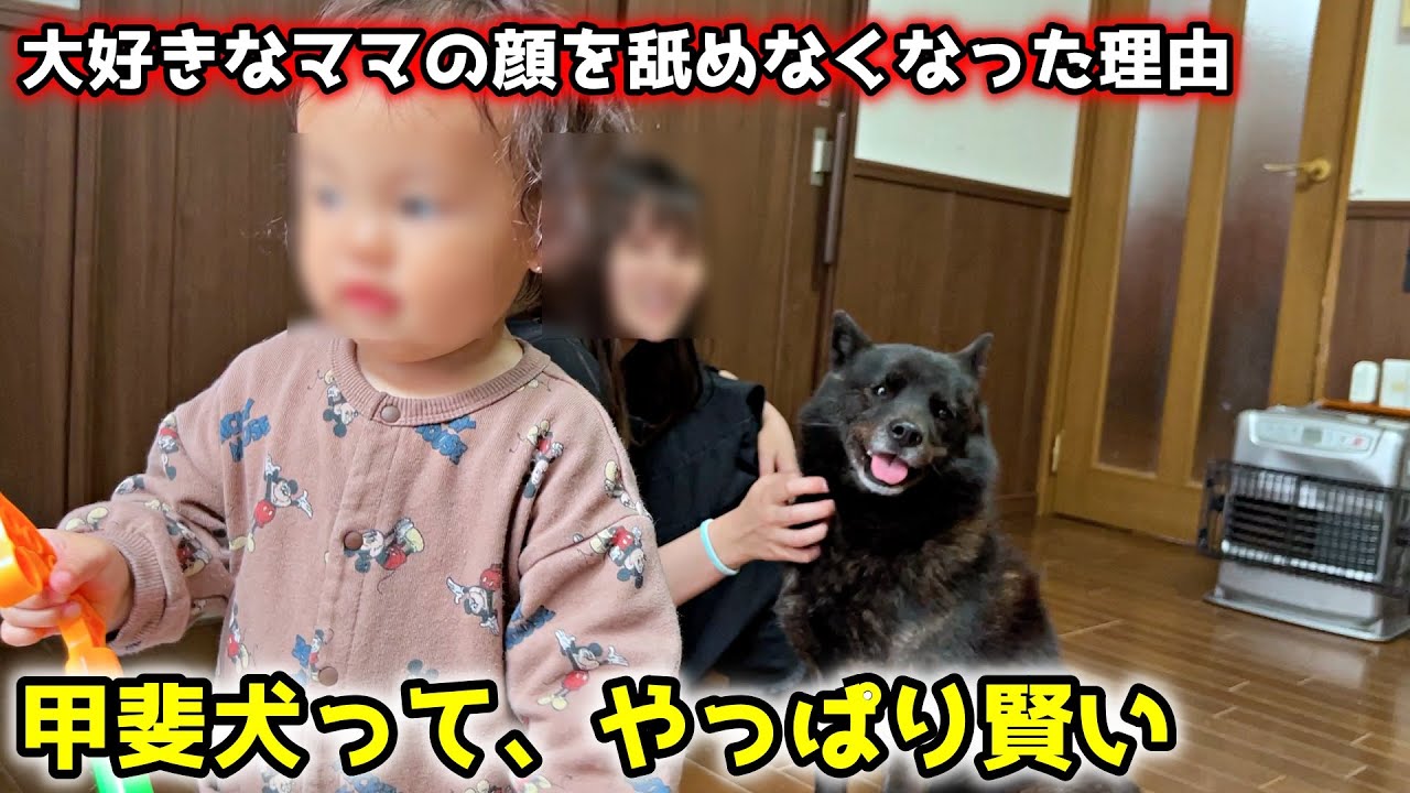 【ママの秘密】愛犬が大好きなママの顔を舐めなくなった理由がこちら