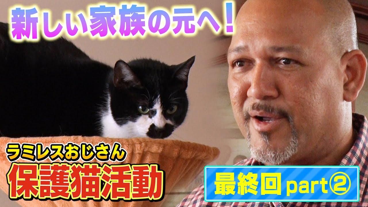 【最終回②】保護猫ハナコが新しい家族の元へ！ラミレスおじさん涙のお別れ【サンシャイン池崎一門の保護猫活動】