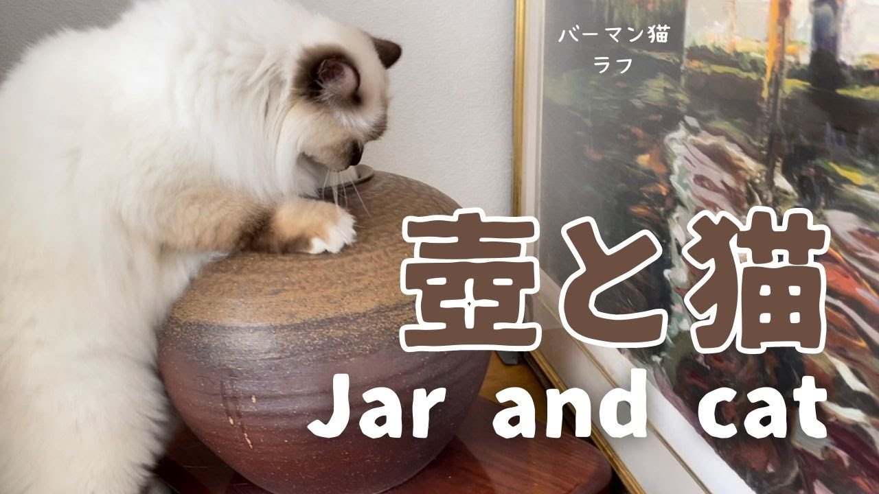 バーマン猫ラフ【壺と猫】Jar and cat（バーマン猫）Birman/Cat