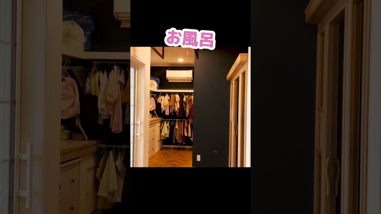 猫のために建てた豪邸を公開します #Shorts
