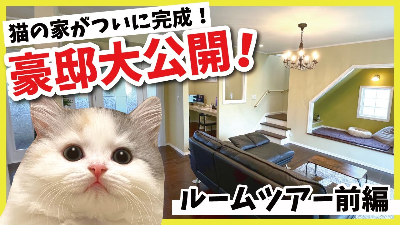 猫のために作ったとんでもない豪邸のルームツアー【前編】【関西弁でしゃべる猫】