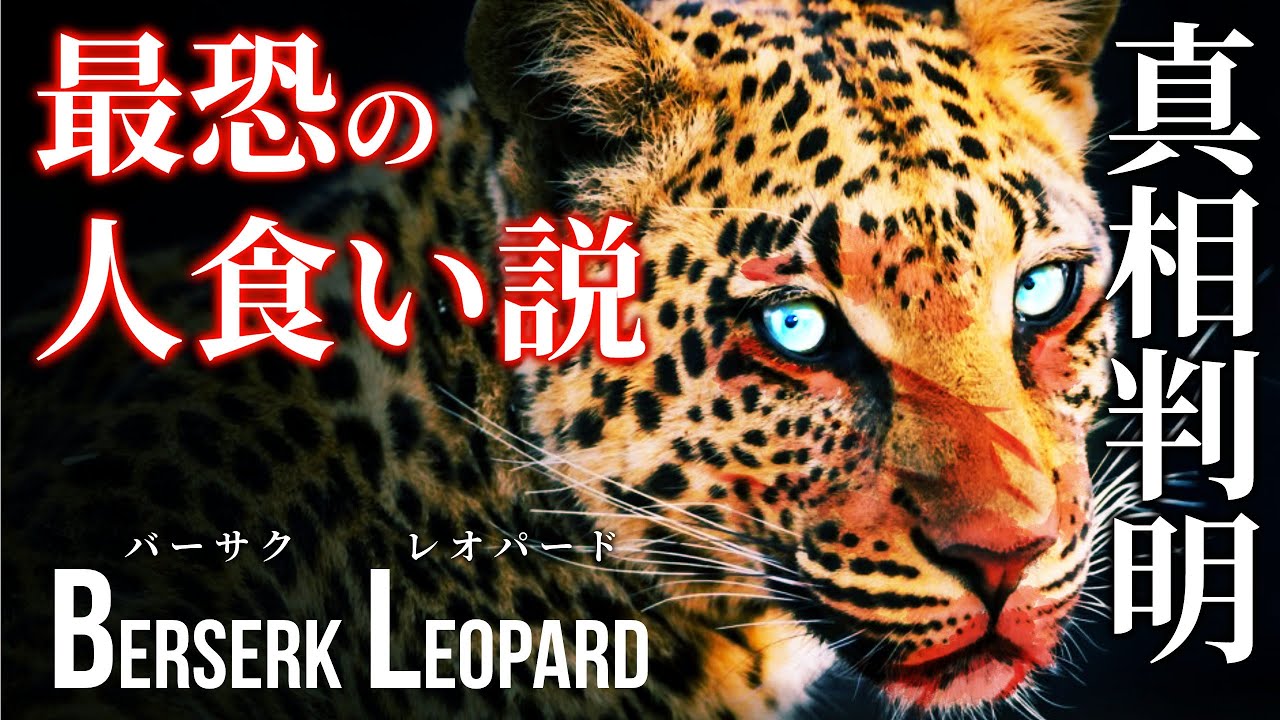 【前編】ベンガルトラ以上の危険性！？獣害事件“パナールの人食いヒョウ”の調査から判明した驚きの新事実