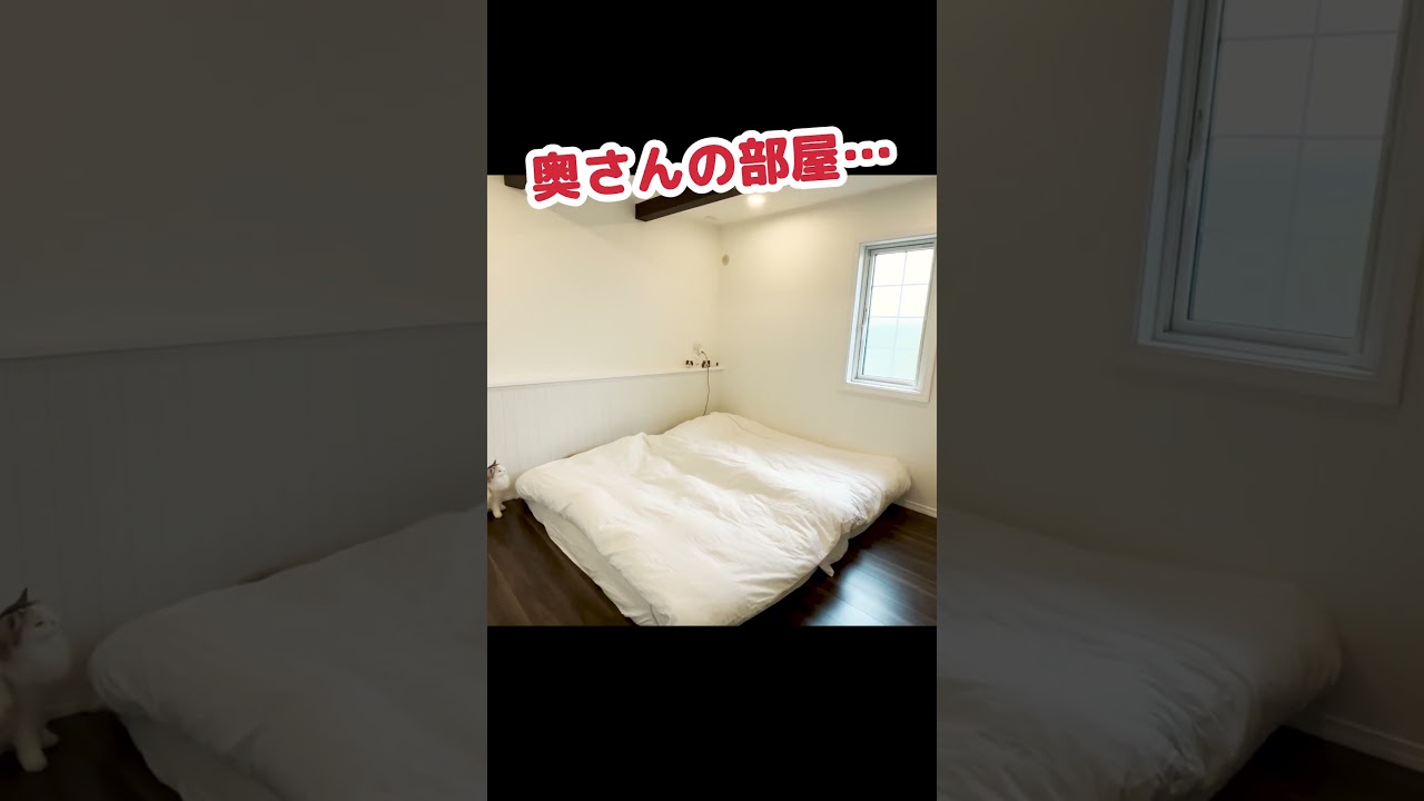 猫のための豪邸の続きを公開します #Shorts