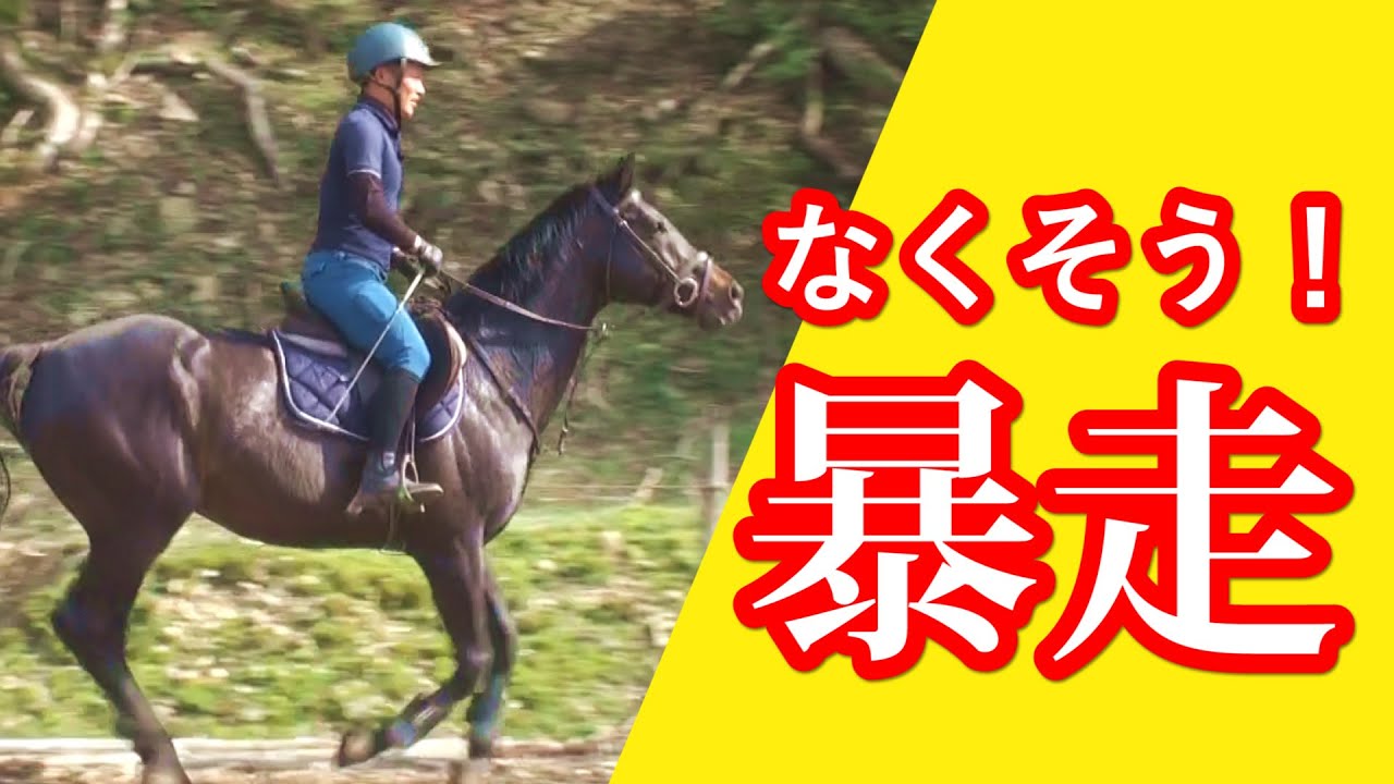 もうどうにも止まらないッ！馬に走られた時の対処