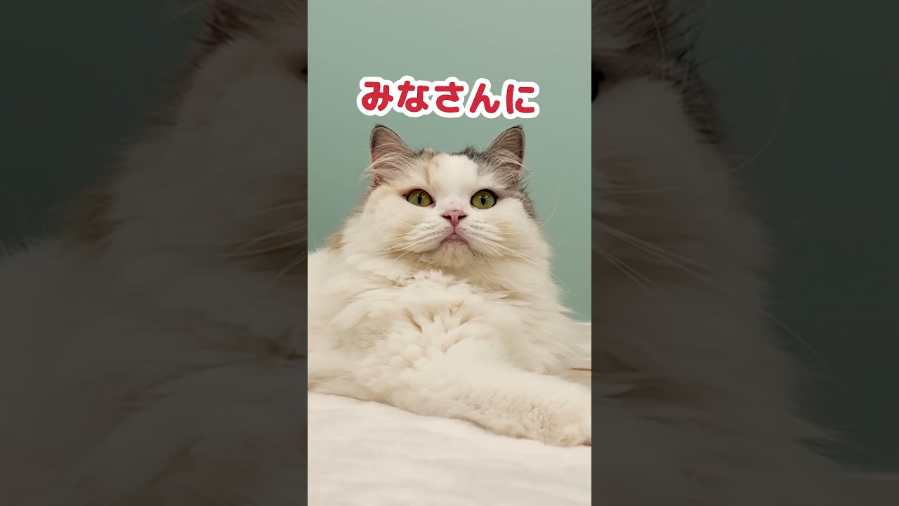 今年一番ショックな事が起きました… #Shorts